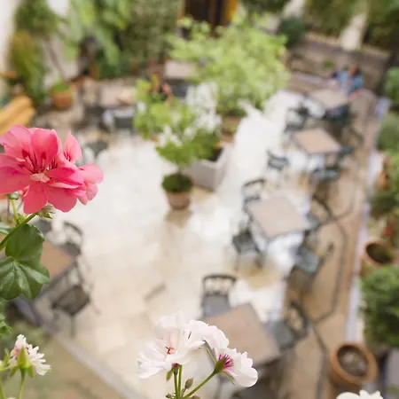 Hotel Eurostars Maimonides Córdoba